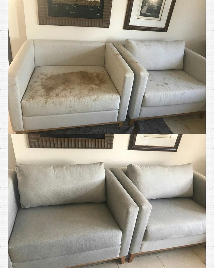 ✔Seu pet aprontou_ Não se preocupe, nós podemos te ajudar_ Com nosso processo de limpeza e higienização á seco eliminamos manchas,…